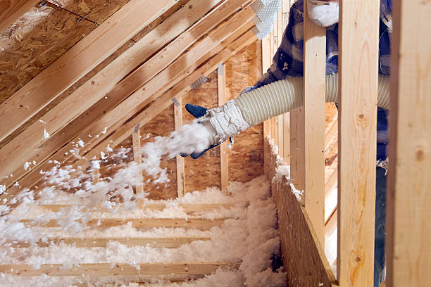 Trusted Apison, TN Insulation Removal & Installation Experts